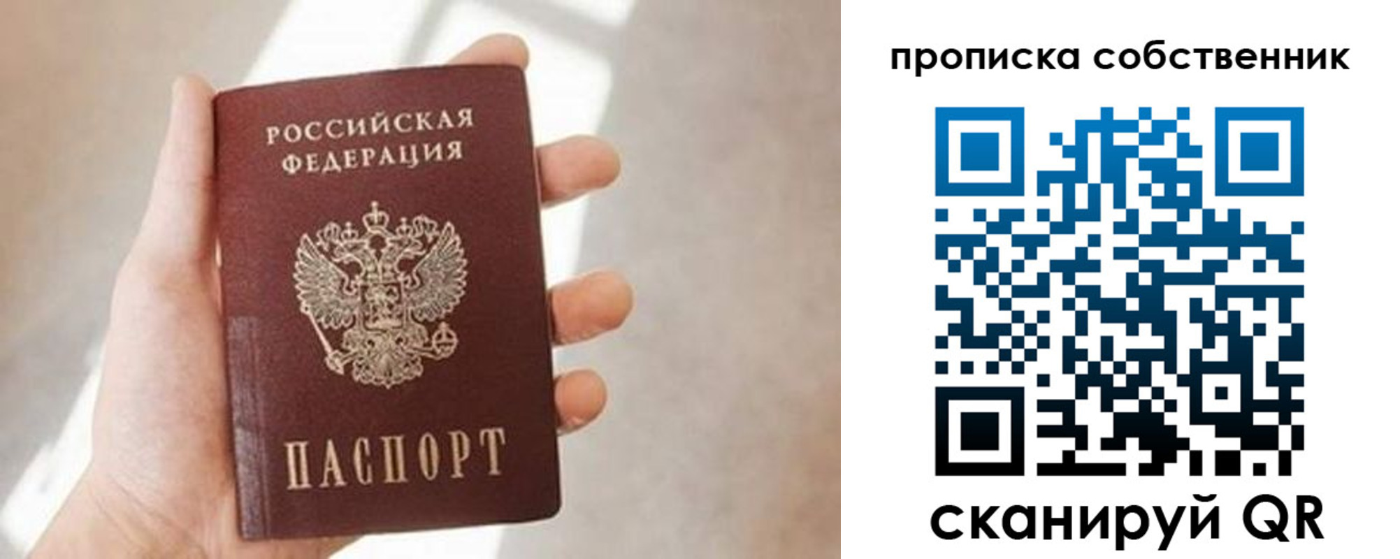 прописка паспорт в Димитровграде